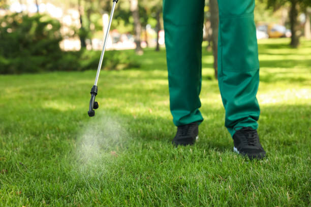 Best Pest Removal Services  in Bedford, IN