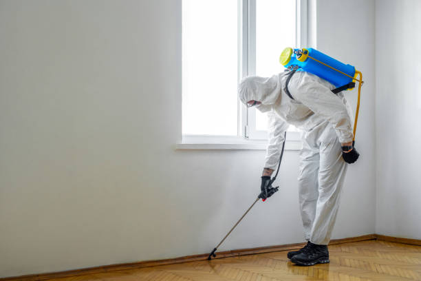 Best Residential Pest Control  in Bedford, IN