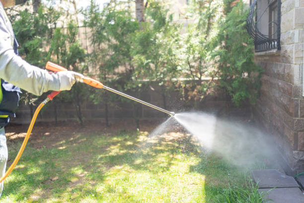 Best Flea Control Services  in Bedford, IN