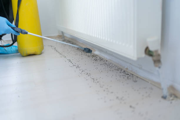 Best Pest Removal Services  in Bedford, IN