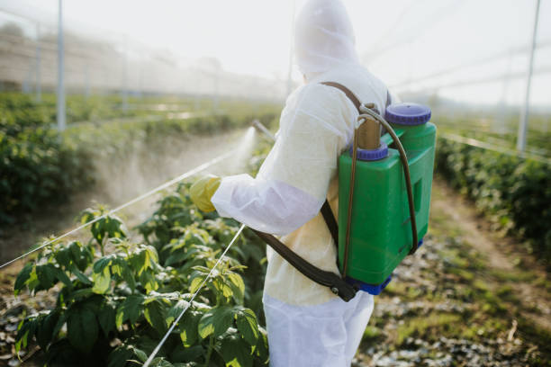 Best Mosquito Control Services  in Bedford, IN
